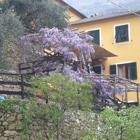 Agriturismo Il Sogno Lorsica Eksteriør bilde