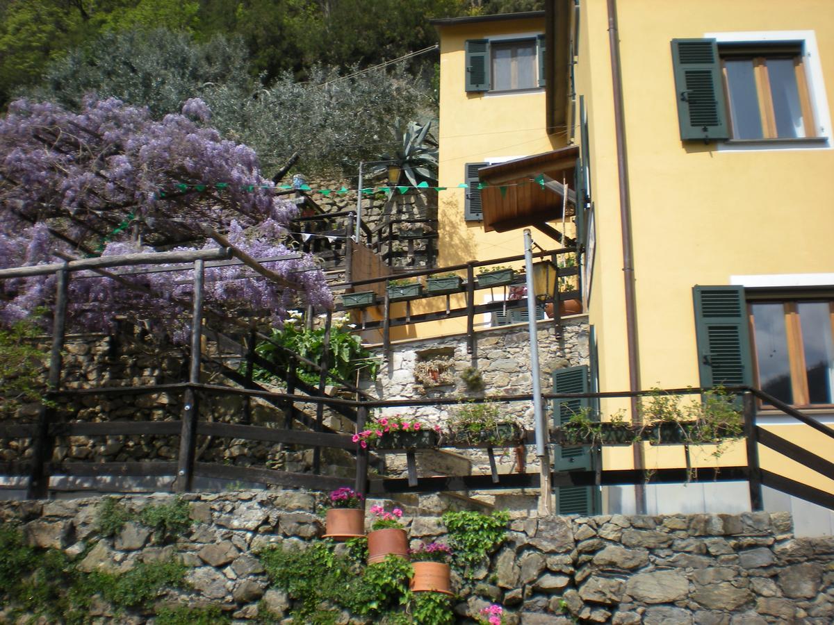 Agriturismo Il Sogno Lorsica Eksteriør bilde
